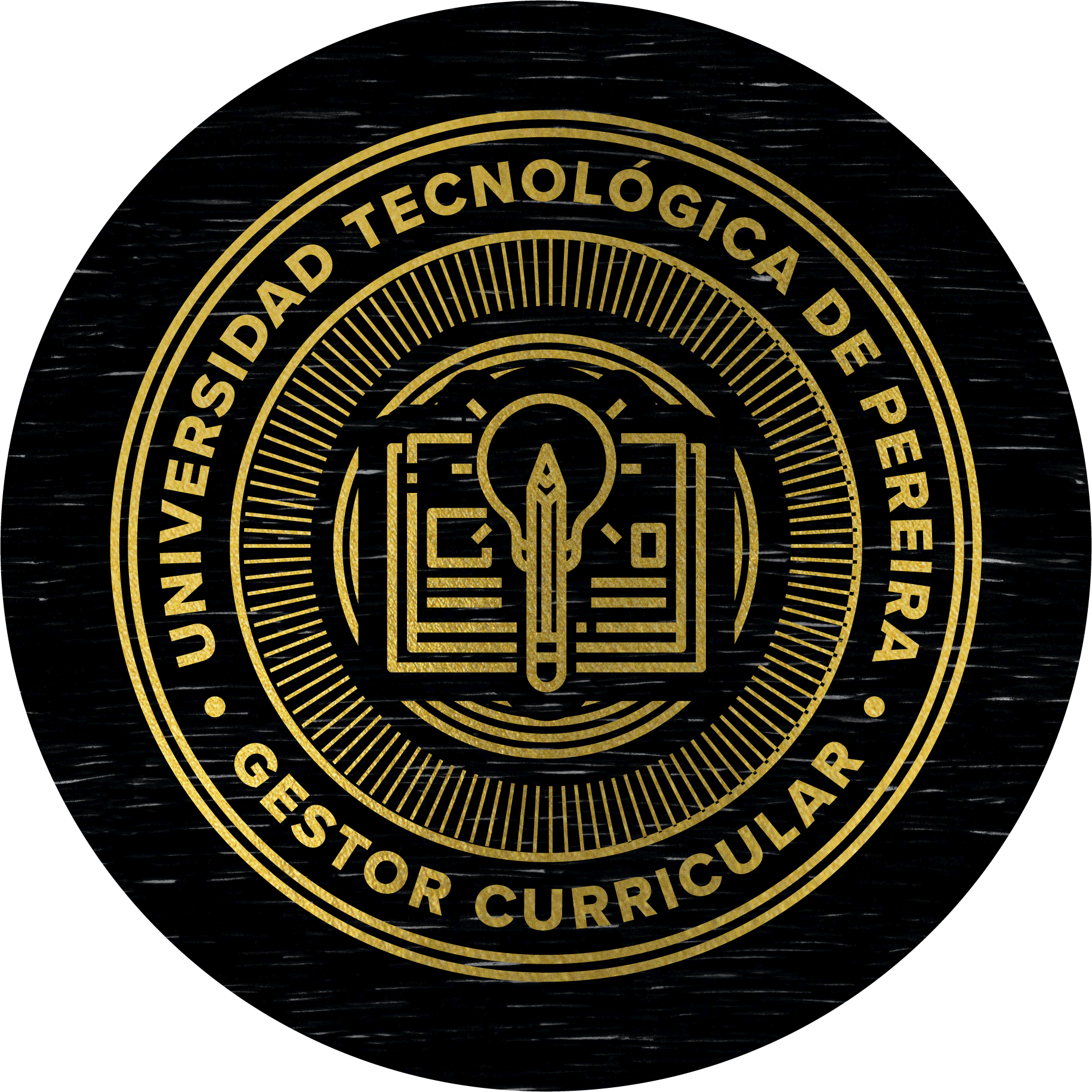 Insignia de Liderazgo